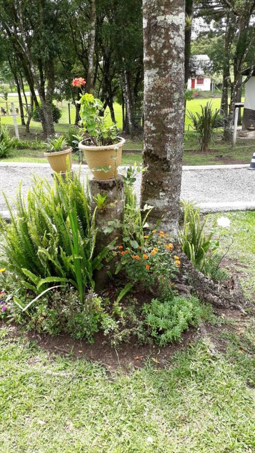 Recanto Do Saiqui Canela Extérieur photo