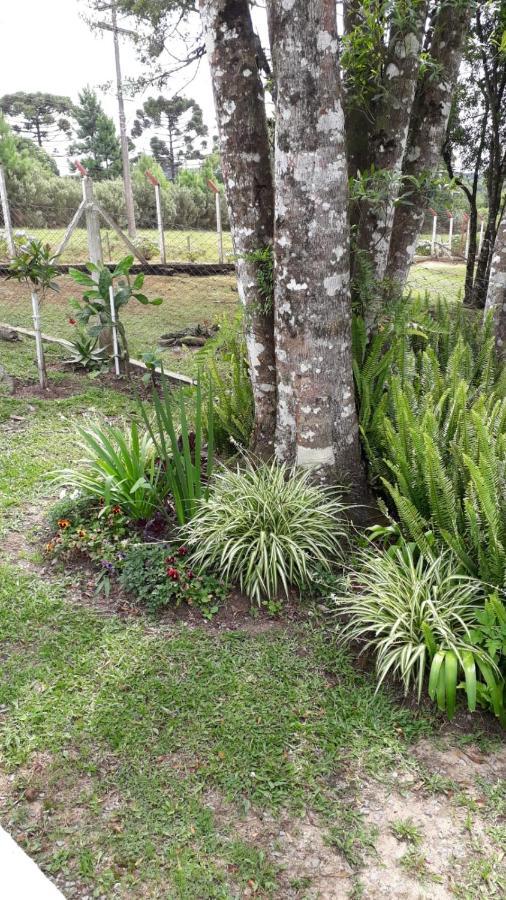 Recanto Do Saiqui Canela Extérieur photo